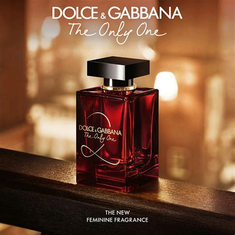 pub parfum dolce gabbana the only one|d&g the only one 2.